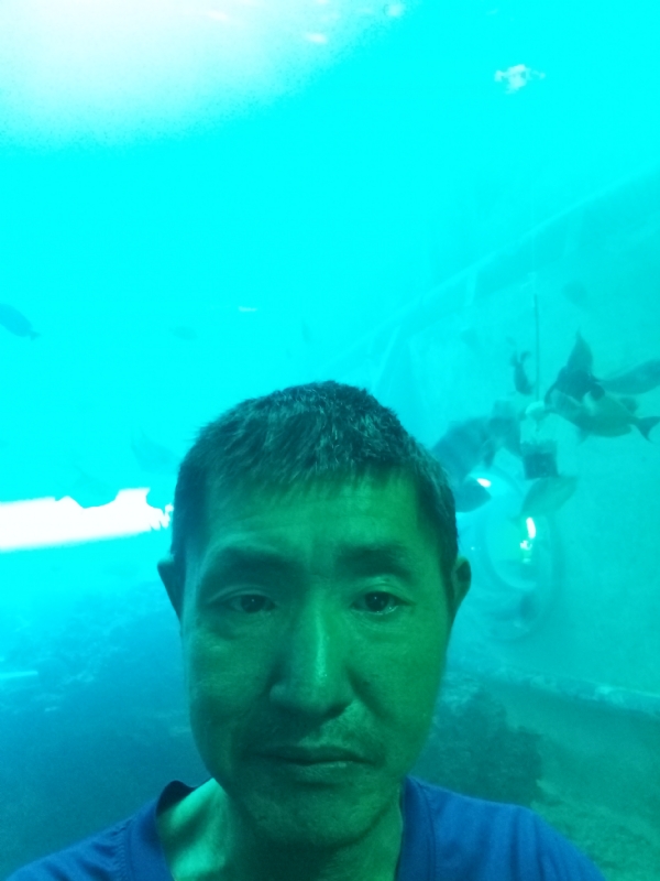 陸戰隊的第一张照片--残疾人相亲网