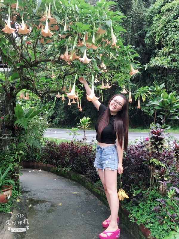 离异单身无子的第二张照片--残疾人相亲网