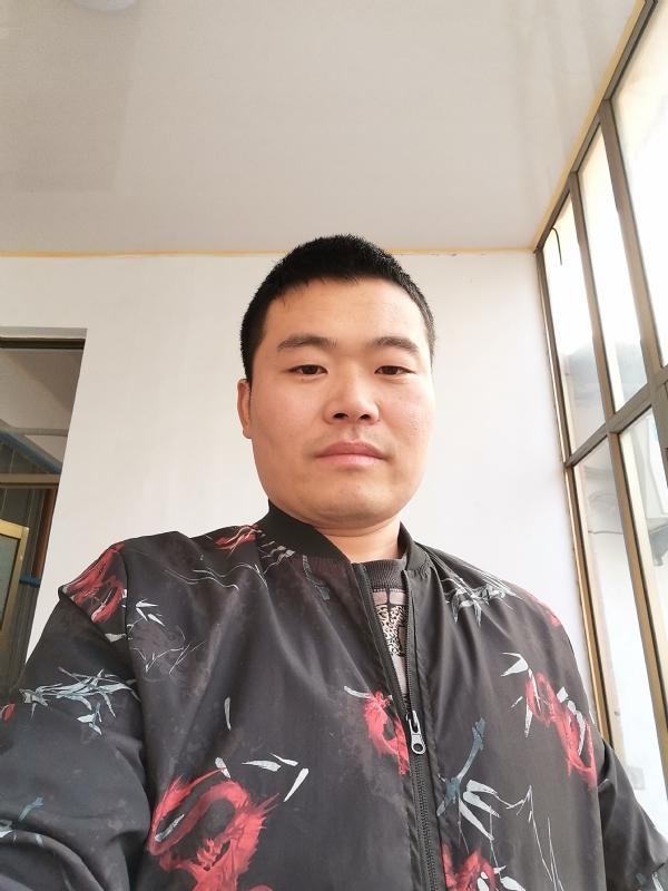 会飞的猪的第一张照片--残疾人相亲网