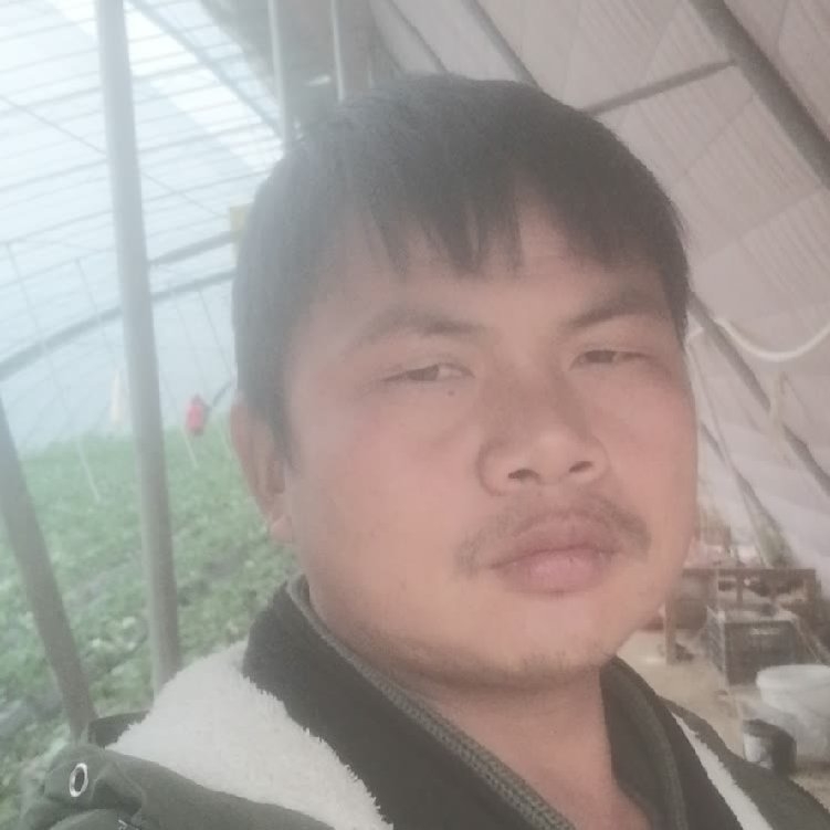 孤狼‘的第一张照片--残疾人相亲网