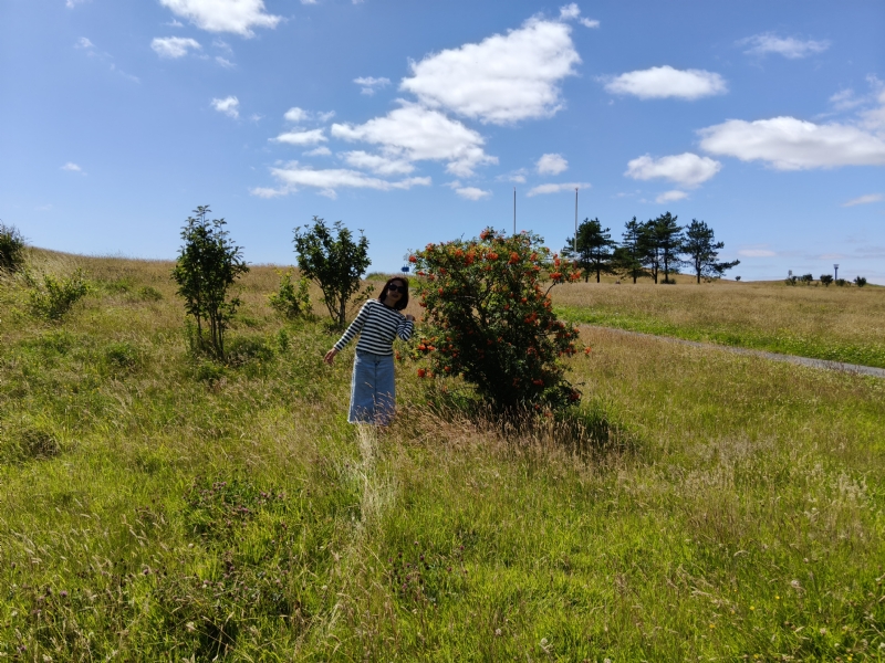 秋蝉的第一张照片--残疾人相亲网